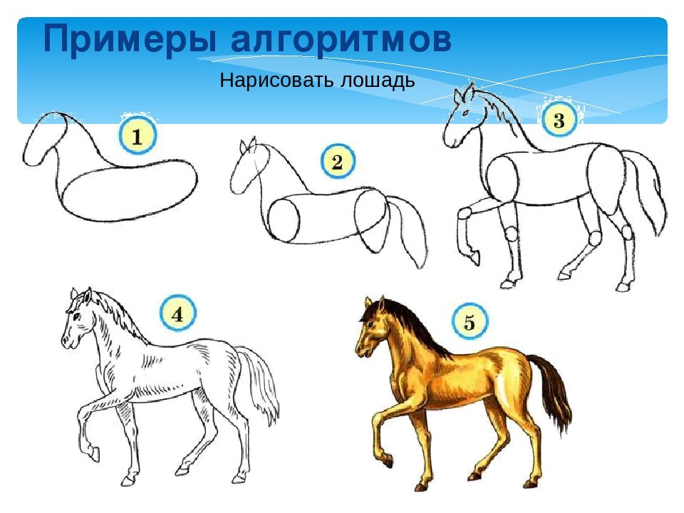 Рисуем лошадь поэтапно. Схема рисования лошади. Схема рисования лошади для детей. Поэтапное рисование лошади для детей. Этапы рисования лошади для детей.