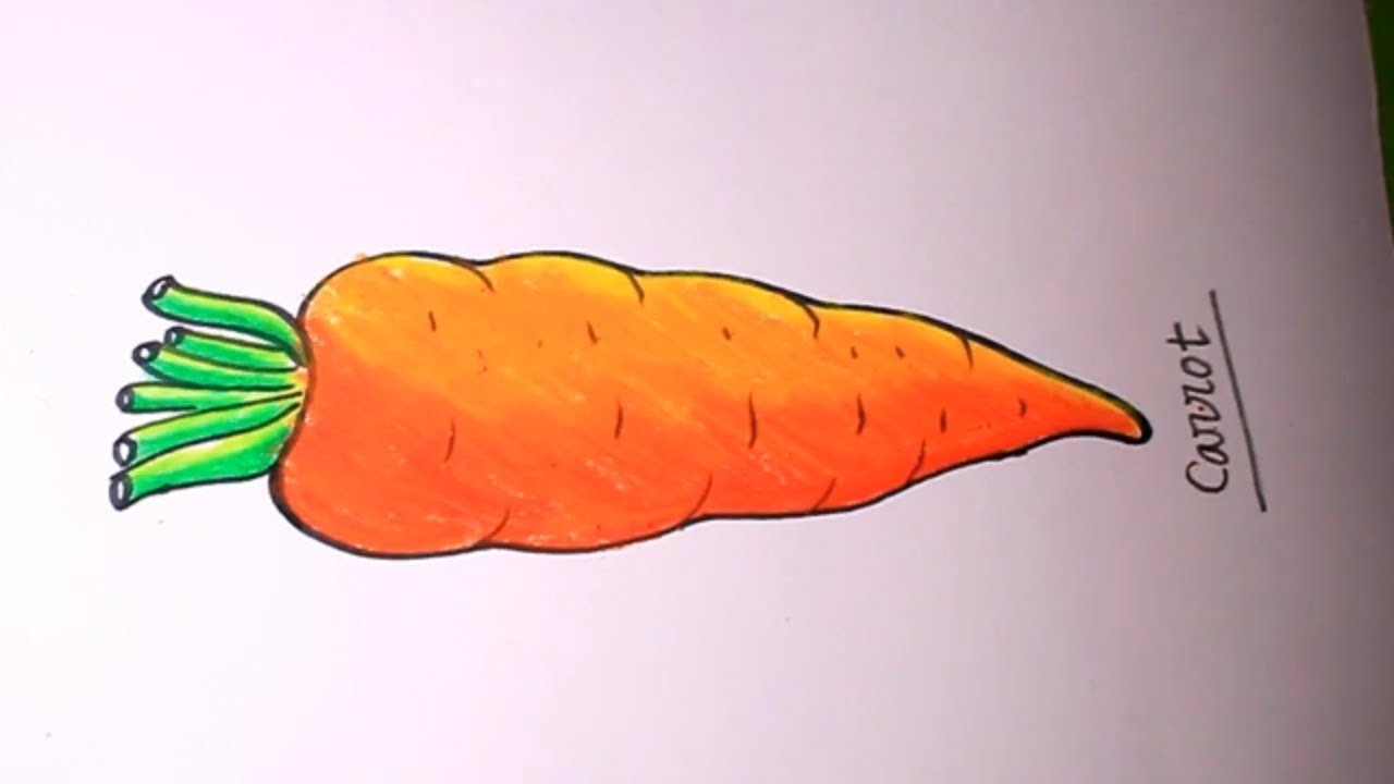 Включи морковочка. Морковка для рисования. Морковь рисунок для срисовки. Рисунки простым карандашом морковь. Морковь для срисовки карандашом.