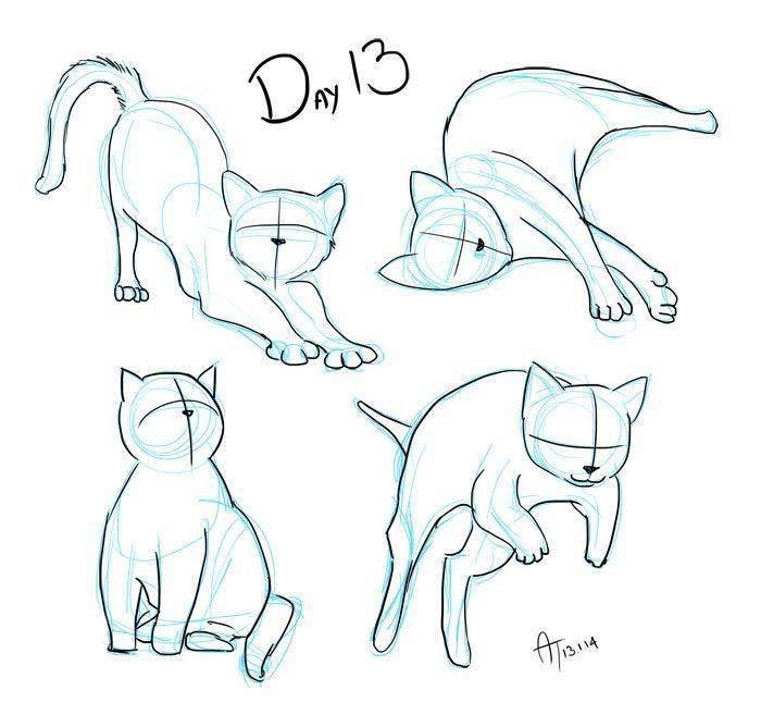 Коты легких делают. Позы кота для рисования. Анатомия кошки для рисования. Референсы котов для рисования. Котики позы для рисования.
