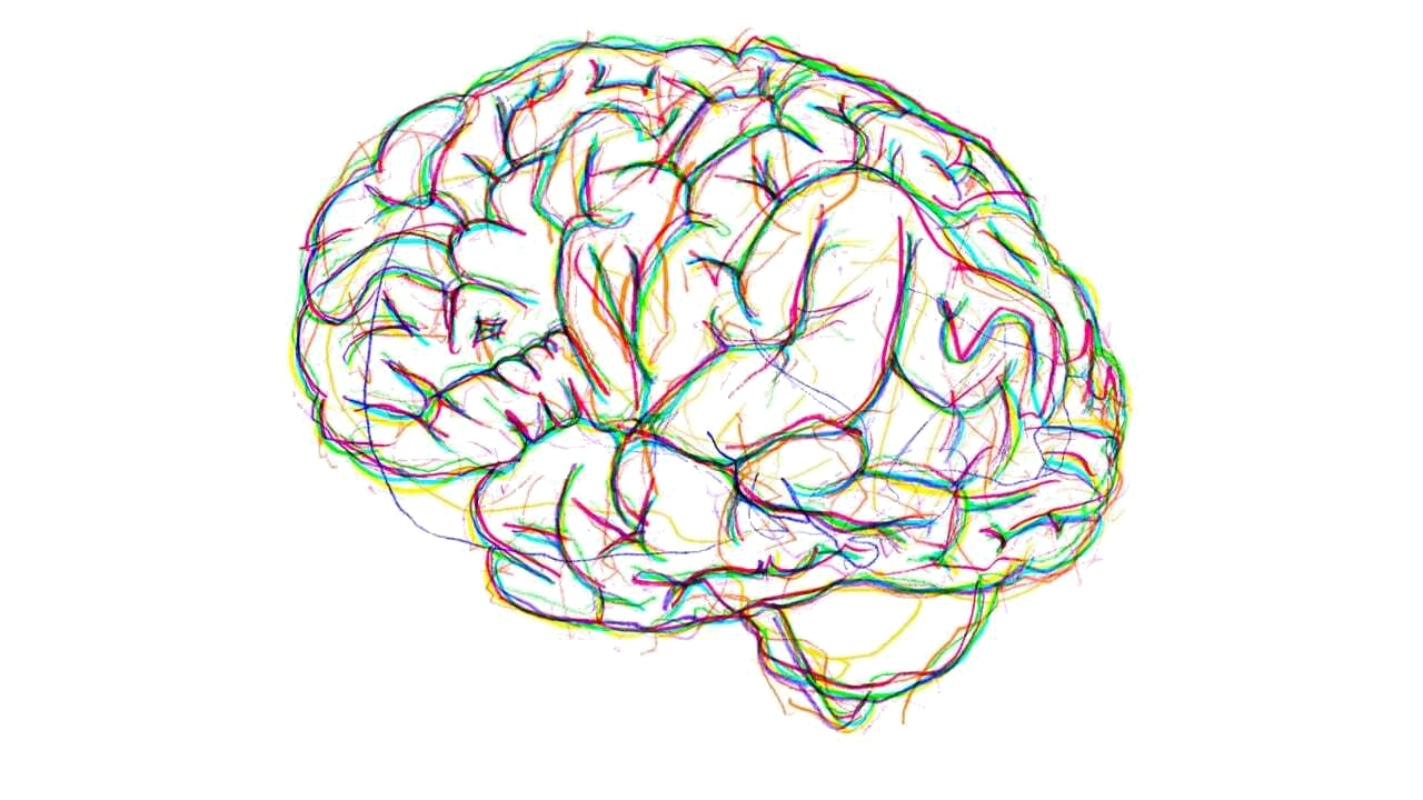 Мысли головного мозга. Мозг арт. Мозг рисунок. Мозг нарисованный.
