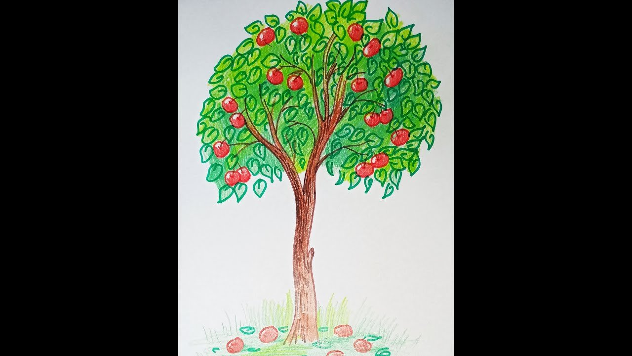 Яблоня карандашом. Дерево рисунок. Нарисовать дерево. Яблоня рисунок для детей. Яблоня рисунок легкий.