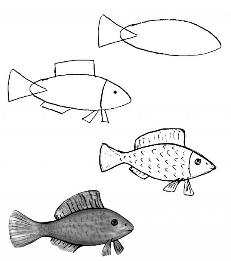 Рыбы рисунок 3 класс. Этапы рисования рыбки. Рисование рыбы для дошкольников. Поэтапное рисование рыбы для детей. Поэтапное рисование рыбки для детей.
