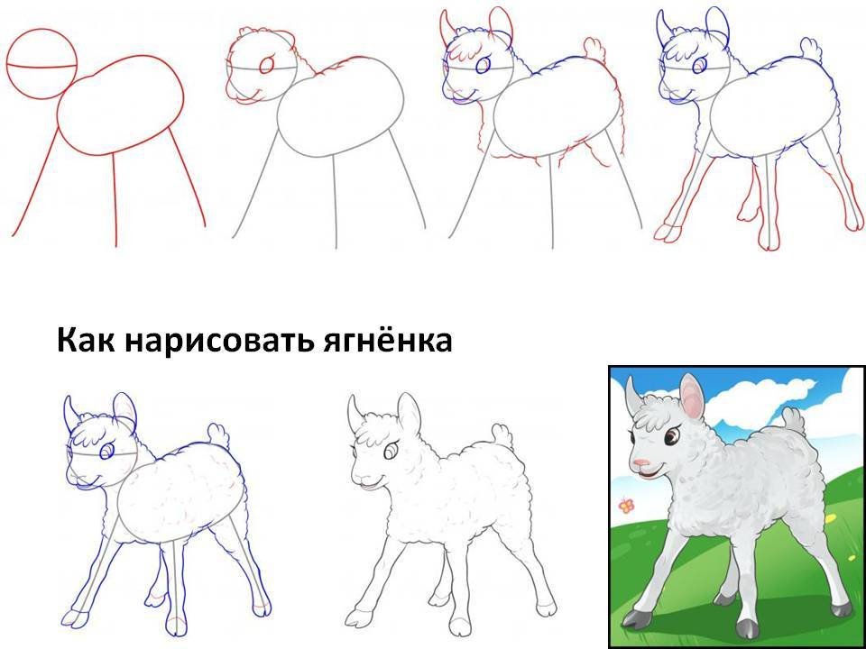 Волк поэтапно для детей. Как нарисовать волка. Волк рисунок схема. Поэтапное рисование волка. Поэтапное рисование волка для детей.