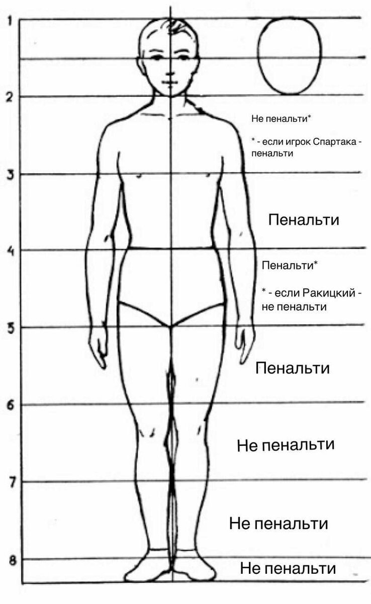 8 частей человека. Рисунок пропорции человека 6 класс. Пропорции фигуры человека. Пропорции тела человека для рисования. Изображение человека схематично.