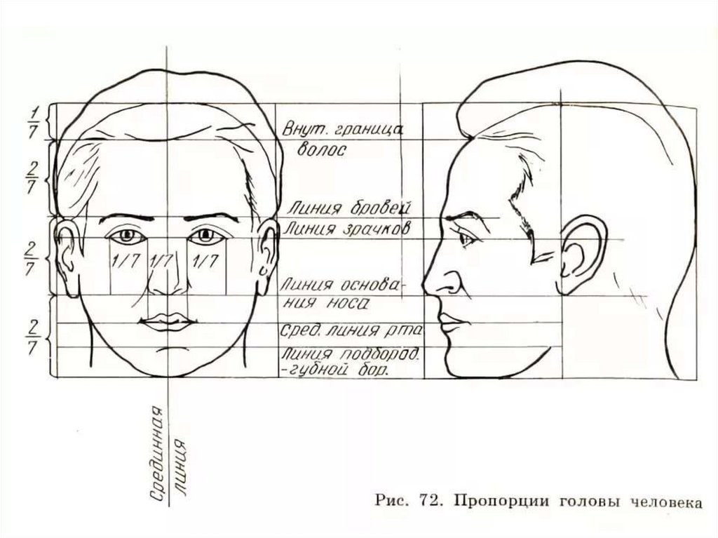 Строю какое лицо. Рисование головы человека пропорции головы. Пропорции портрета человека профиль. Пропорции лица профиль 6 класс. Схема пропорции головы человека нарисовать.