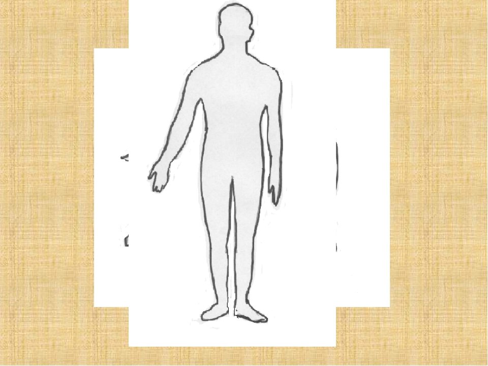 Строение человека модель 2 класс. Схема человека. Строение тела человека. Модель строения человека. Строение тела человека рисунок.